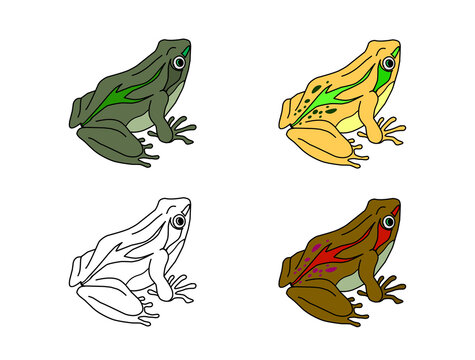 frog image collection, useful for coloring book