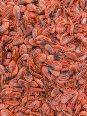 Cooked shrimp living Coral color. A corral shrimp cocktail Jumbo size. Pink chilled shrimp in the supermarket: vertical banner top view.
