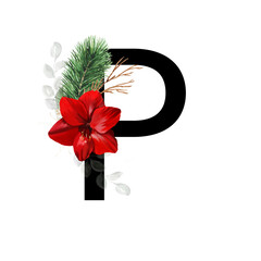 Capital letter P decorated with red amaryllis flower and pine twig. Letter of the English alphabet with christmas decoration. - obrazy, fototapety, plakaty