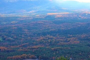 山梨県の風景。紅葉台からの眺望。紅葉に染まる山々と樹海。