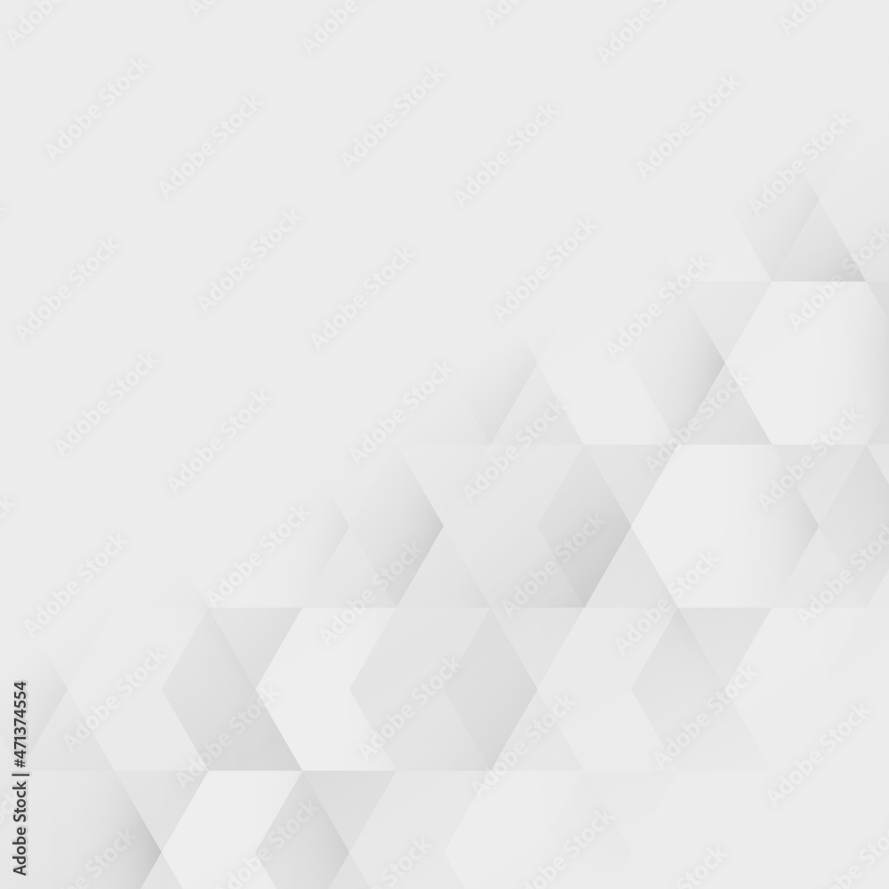 Poster White and gray geometric pattern background vector