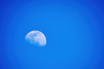 Rising moon in the blue sky.