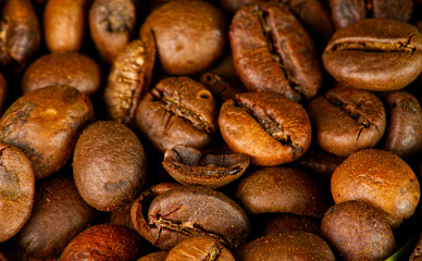 Roasted coffee beans closeup. Place for text