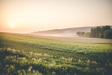 Obraz na płótnie Canvas beautiful sunrise over farmland