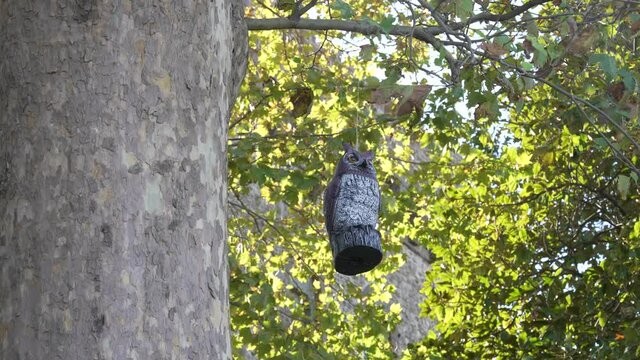 Statue of a wooden owl hanging from a tree and swaying in the wind on a sunny day