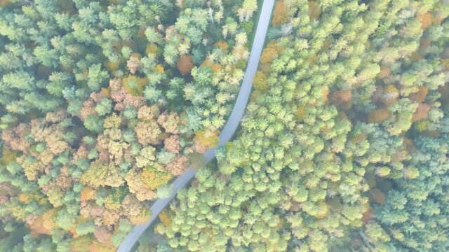 Aerial: top down shot of electric car driving on forest road, spinning view