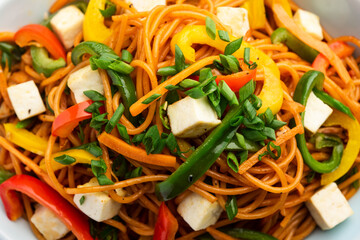 Paneer Hakka Noodles or schezwan noodles