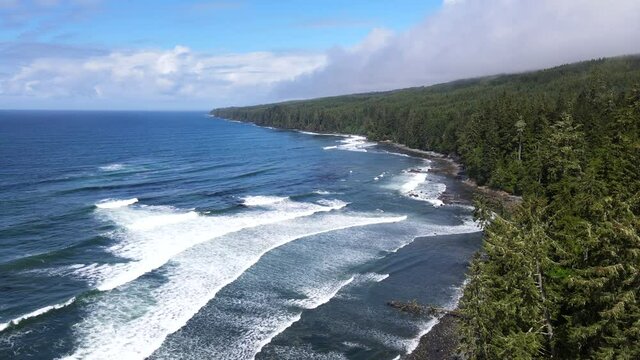 Still aerial shot of big waves crashing on the shore of Sombrio beach with vast and endless pine forest in foreground and cloudy sky above. True wilderness of the pacific north west captured in 4k.