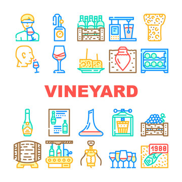 Vineyard Production Alcohol Drink Icons Set Vector. Wine Glasses With Different Taste Beverage, Fridge And Wooden Barrel, Cork And Corkscrew Tool, Vineyard Manufacturing Line. Color Illustrations