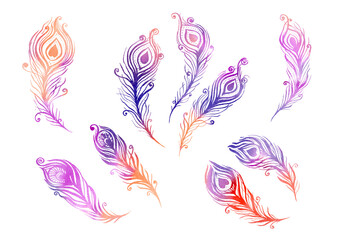 Fototapeta na wymiar Watercolor multicolor Set of birds feather elements in the style of line art wedding theme on a white background. Doodle and scribble. red, orange, violet, pink, purple colorful peacock wings feathers