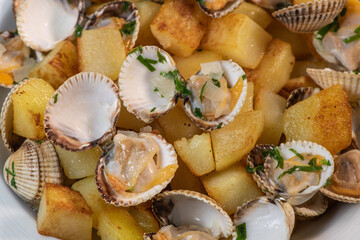 Steamed cockles with fried potatoes in the white dish, mariniere recipe