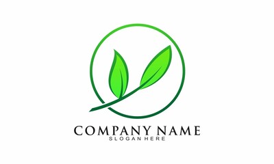 Elegant leaf vector logo