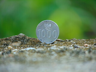 one dollar coin