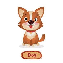 Illustration of little cute dog corgi with signature text on white Background