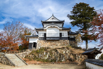 天空の城　備中松山城天守閣と紅葉　国指定重要文化財