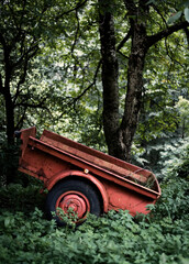 walking in the forest,  italian alps,  dolomites