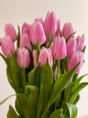 bouquet of tulips
