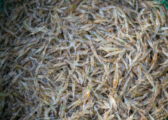 Shredded shrimp prepared for cooking, freshwater shrimp for cooking