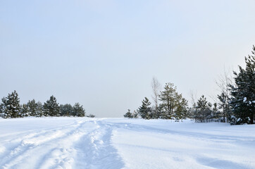 Snowy Road in Winter Forest. Awesome winter landscape. A snow-covered path among the trees in the wild forest.