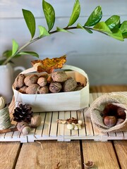 On the oak table there are wooden pallets with walnuts, hazelnuts and a vase with zamiakulkas on them