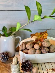 On the oak table there are wooden pallets with walnuts, hazelnuts and a vase with zamiakulkas on them - obrazy, fototapety, plakaty