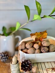 On the oak table there are wooden pallets with walnuts, hazelnuts and a vase with zamiakulkas on them