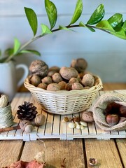 On the oak table there are wooden pallets with walnuts, hazelnuts and a vase with zamiakulkas on...