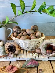 On the oak table there are wooden pallets with walnuts, hazelnuts and a vase with zamiakulkas on...