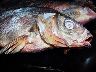 Dried Volga bream (lat. Abramis brama) is an excellent beer snack. Top view, close-up. Maximum body length - 82 cm, weight - 6 kg, maximum life expectancy - 23 years