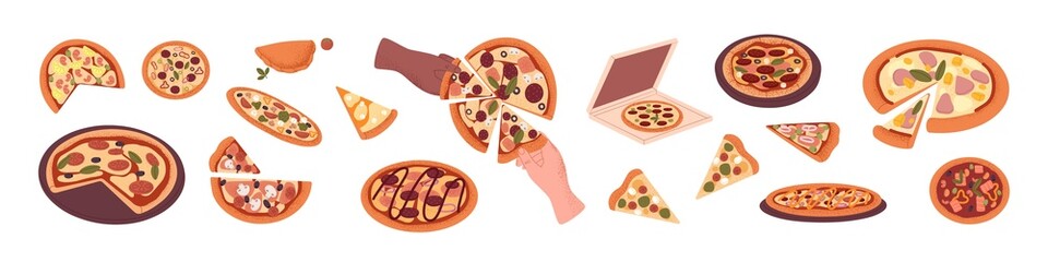 Pizza set. Italian food pieces and triangle slices with cheese, vegetables, mushrooms, ham, meat, sausages, fish, shrimp and other ingredients. Flat vector illustration isolated on white background