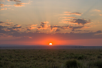 Red sun at sunrise over the open grass plains, Masai Mara, Kenya