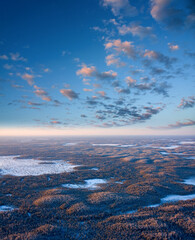 Air photo of forest in winter frosty day