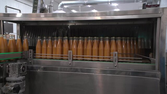 Close up pan of moving full orange-colored sea buckthorn juice bottles on conveyor to heat treatment grey metallic machine