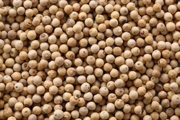 ホワイトペッペー　画面一面