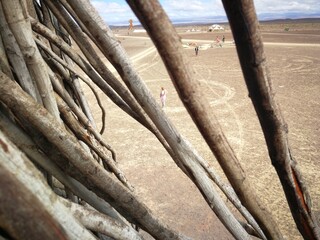 Caged in Afrikaburn