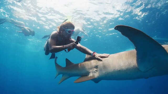 Swim with shark. Woman in bikini swims with the shark in the tropical sea and film it on action camera.