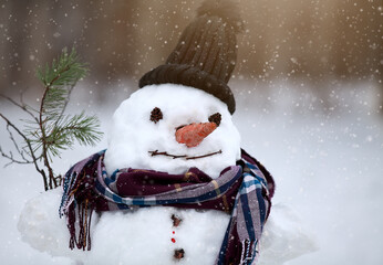a head of a smiling snowman close up in a hat