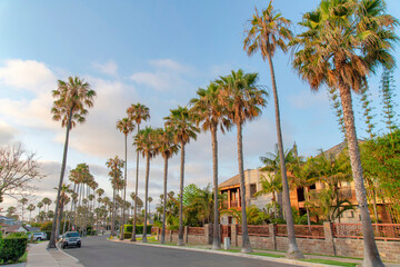 Fototapeta na wymiar Residential area at La Jolla in California with palm trees along the road