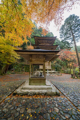 秋の横蔵寺境内