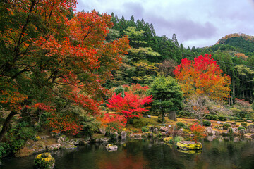 渓石園の紅葉