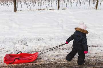 The child is pulling the sledge
