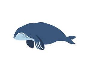 Tuinposter Groenlandse walvis icoon © djvstock