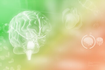 Human brain, brain discovery concept - highly detailed electronic background, medical 3D illustration