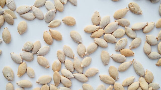 top view herb DongGuaZi or Semen Benincasae or Waxgourd Seed rotating