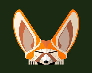 Fennec fox