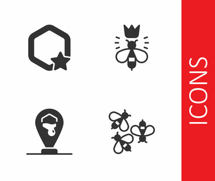 Set Bees, Honeycomb, bee location and Queen icon. Vector