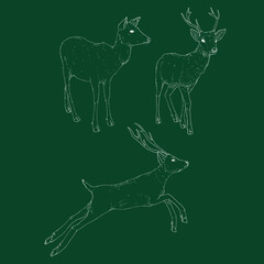 Vector Set of Chalk Sketch Deers