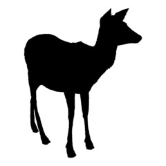 Vector Black Silhouette of Deer