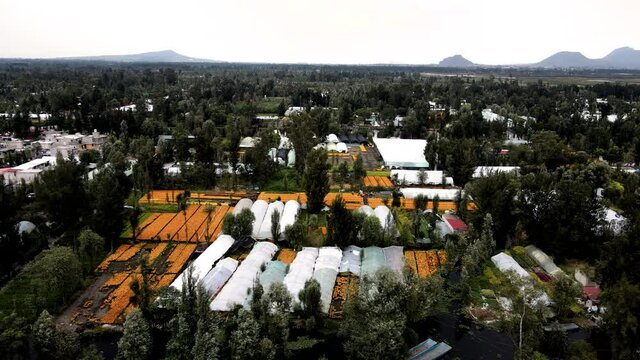 drone view of massive flower plantation in Xochimilco Mexico city