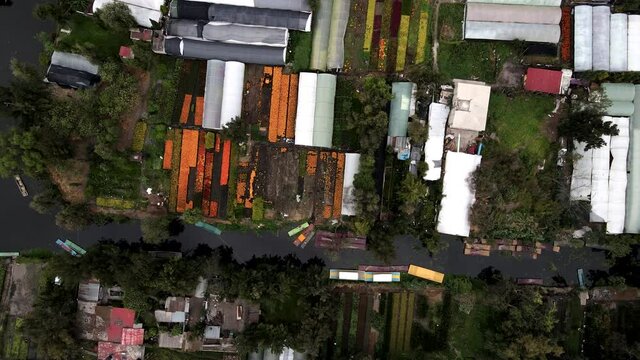 Drone view of boats with floweers in Xochimilco lake in mexico city